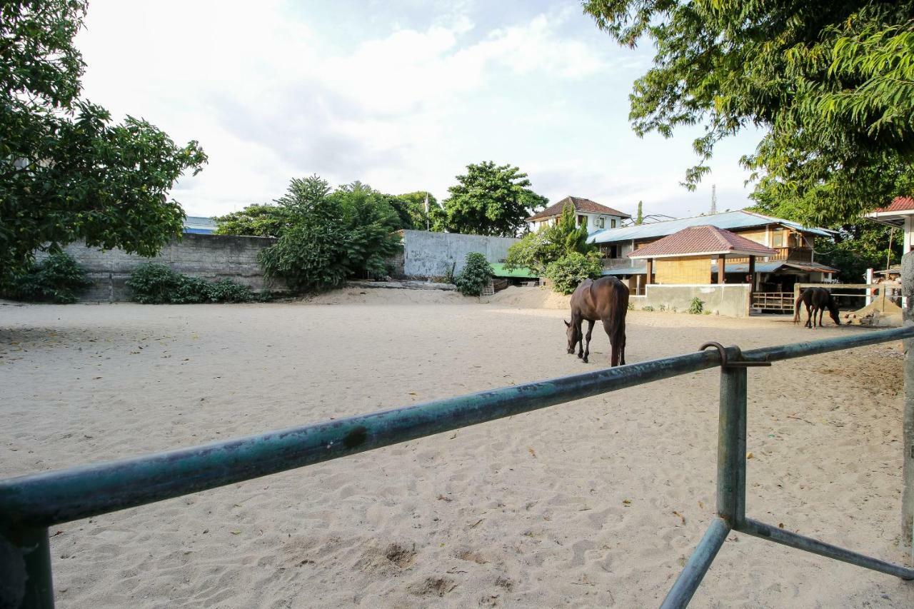 Hotel Mesari Beach Inn&Stables Seminyak (Bali)